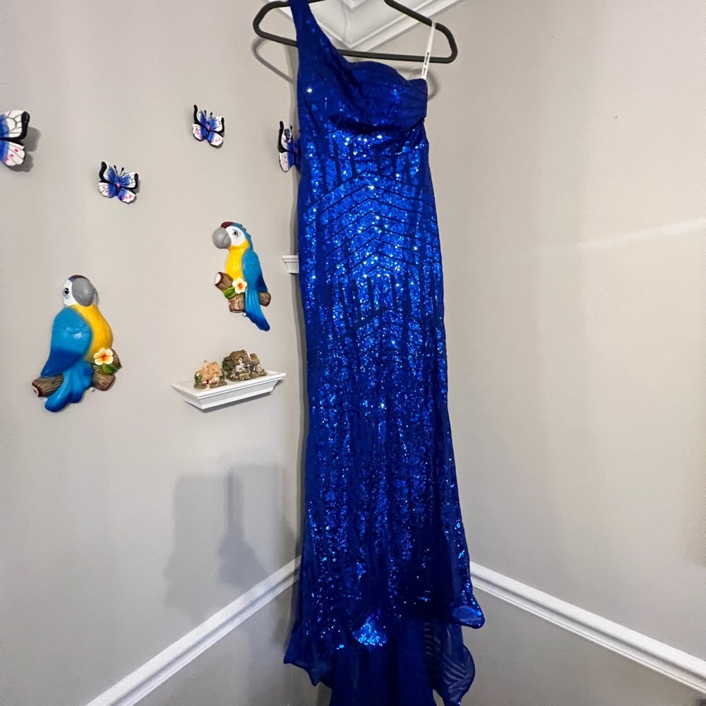 Gorgeous sequin dress